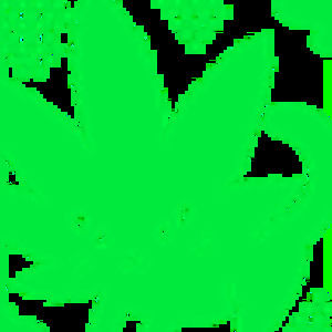 Meet your Posher, Whimso